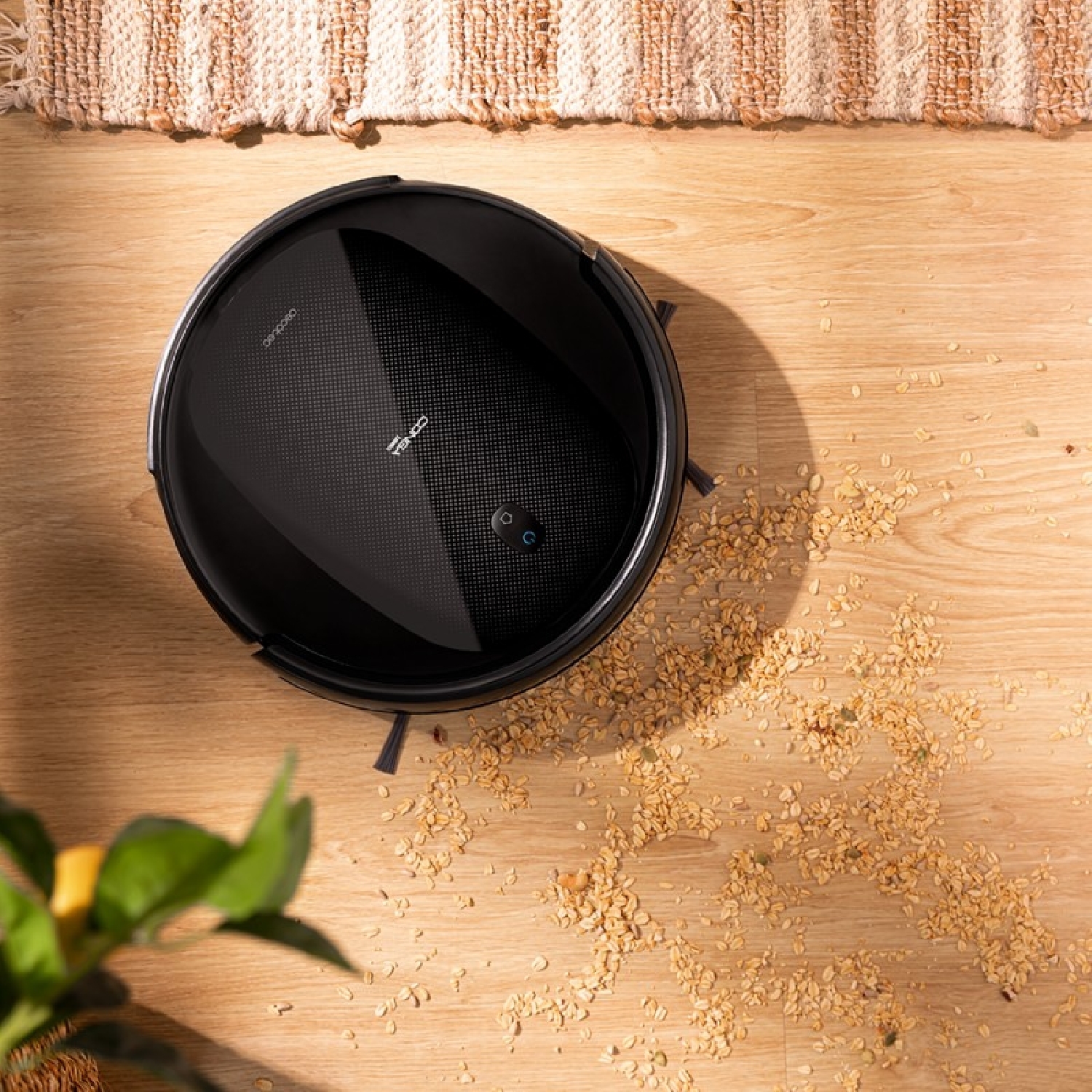 Conga 1990 Titanium - Image 3