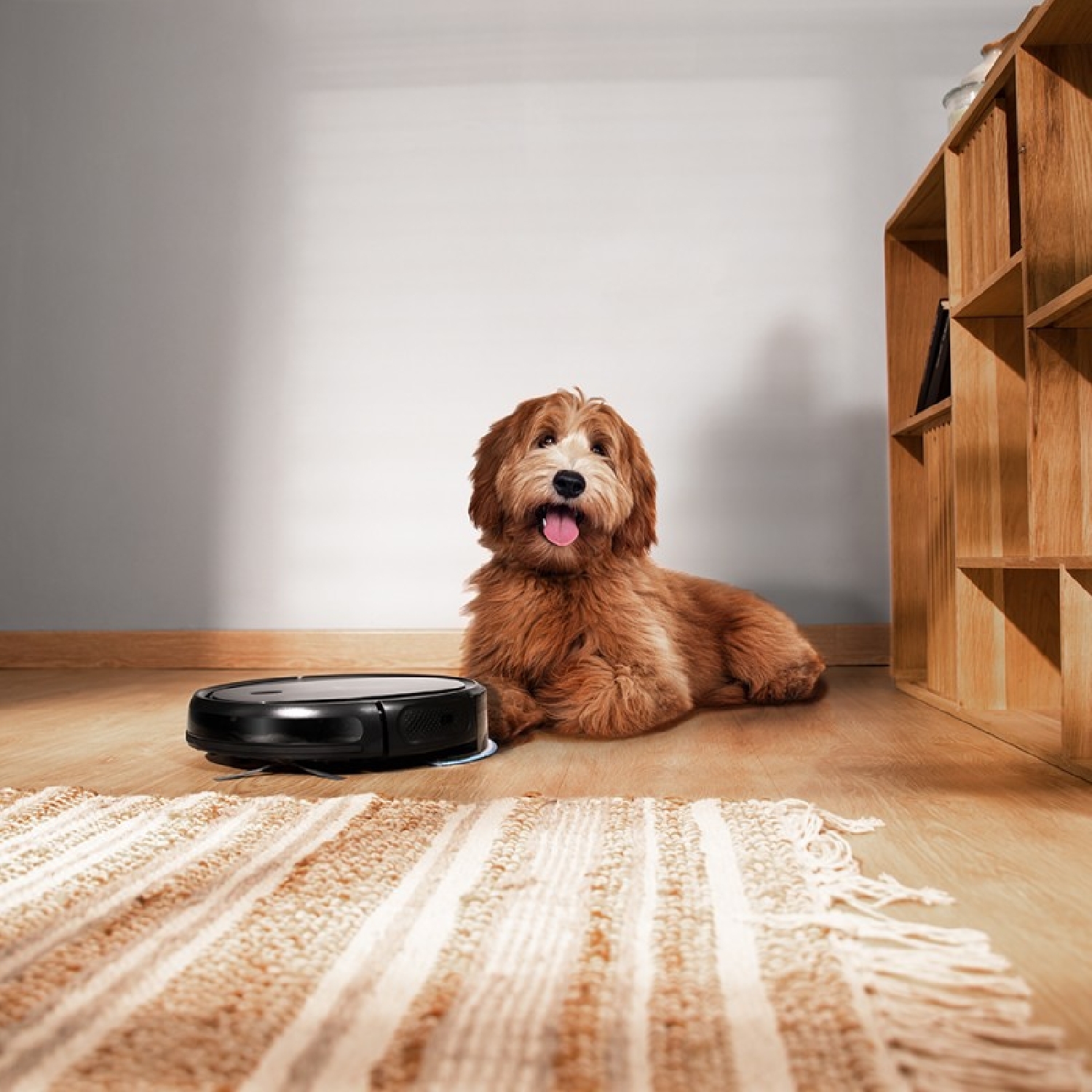 Conga 1990 Titanium - Image 5