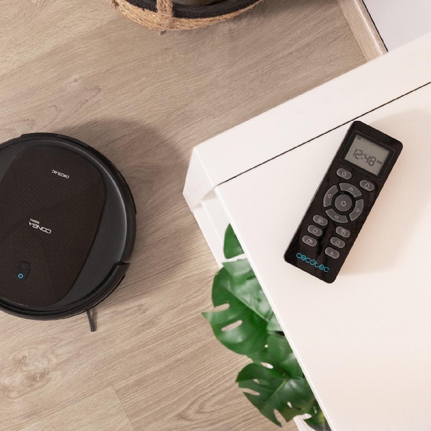 CONGA 2290 Absolute - Image 2