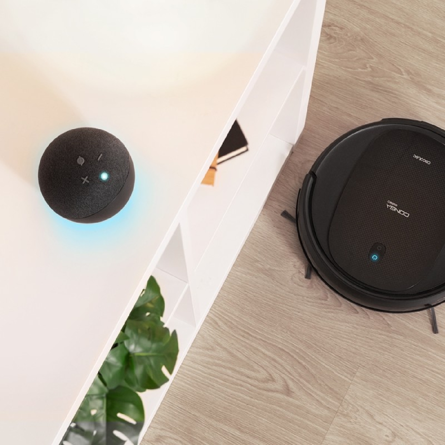 CONGA 2290 Absolute - Image 4