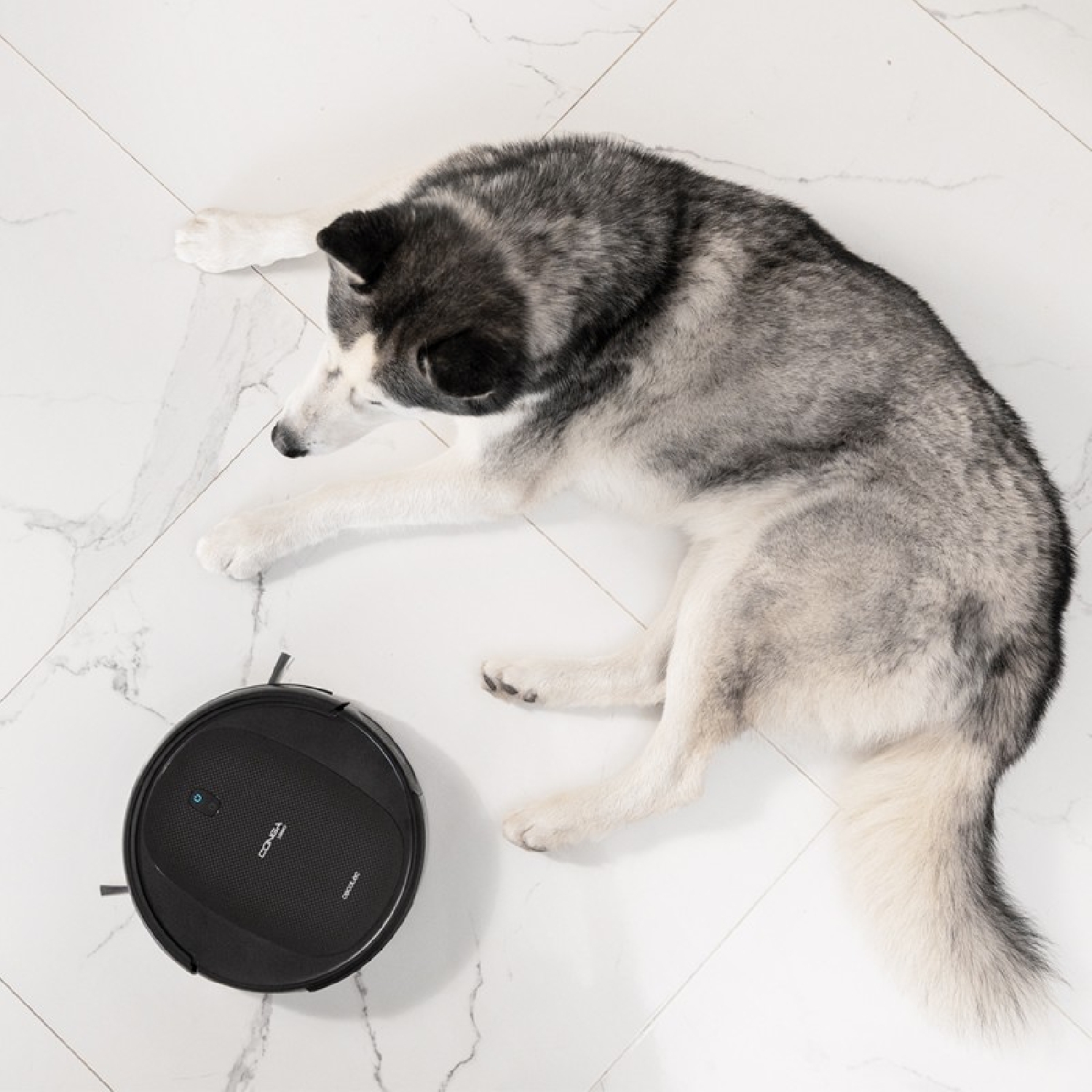 Conga 1990 Connected X - Image 5